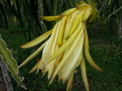 20160227_082230